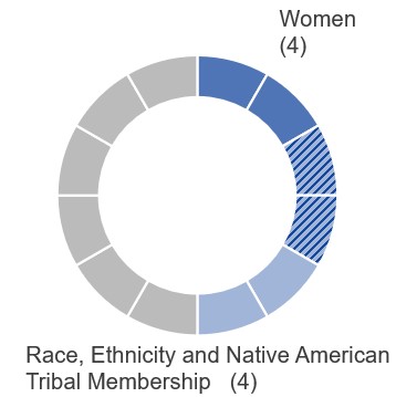 PSummary_Diversity.jpg